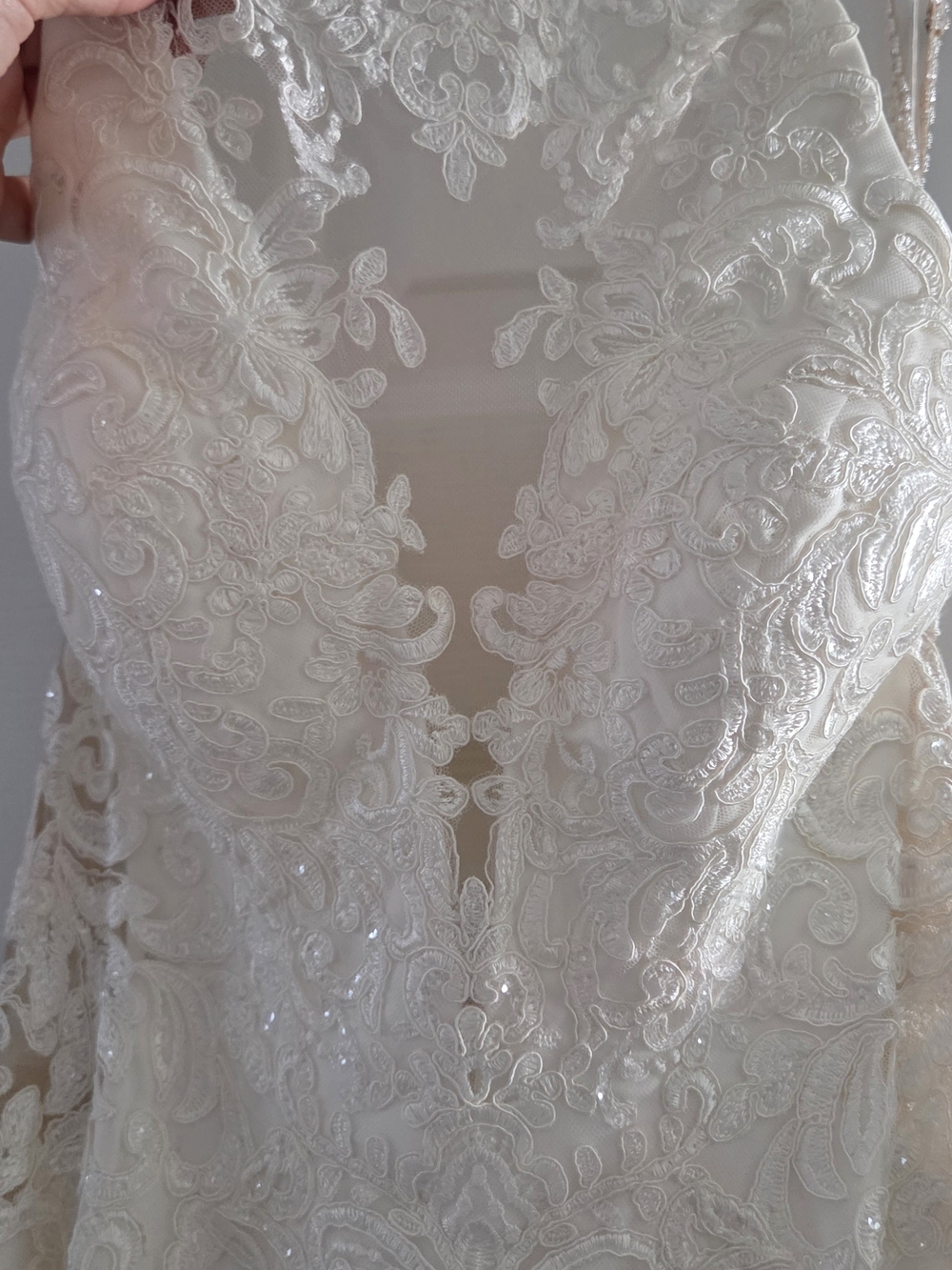 Elegant, Lace Backless Wedding Dress - Picture 9 of 15